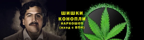 apvp Богородск