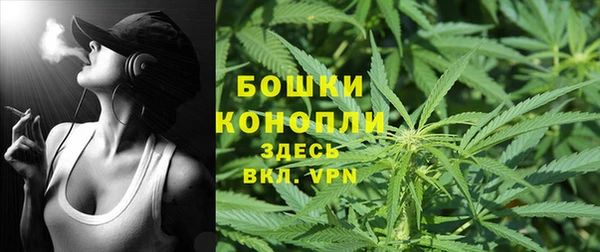 apvp Богородск